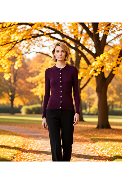 BENERLY Women's Mercerized Textured Corded Fabric Polo Neck Buttoned Long Sle...