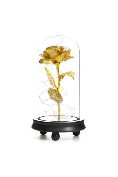 Roses Trandafir în cupolă de sticlă Trandafir