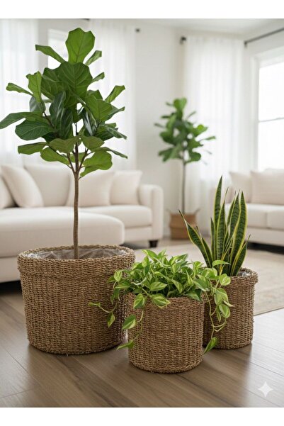 Coş Ev Mutfak 3'LÜ DOĞAL HASIR ÖRGÜ NAYLONLU SEPET SETİ DEKORATİF BİTKİ SAKSI...