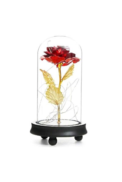 Roses Rose in glass dome Rose