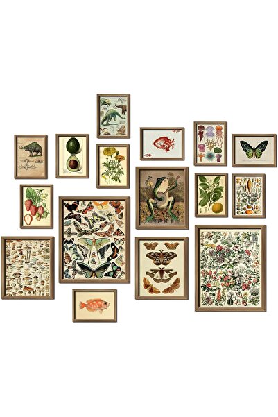 ALAYRA International 16 قطعة من مطبوعات الحائط النباتية العتيقة - ديكور مزرعة...