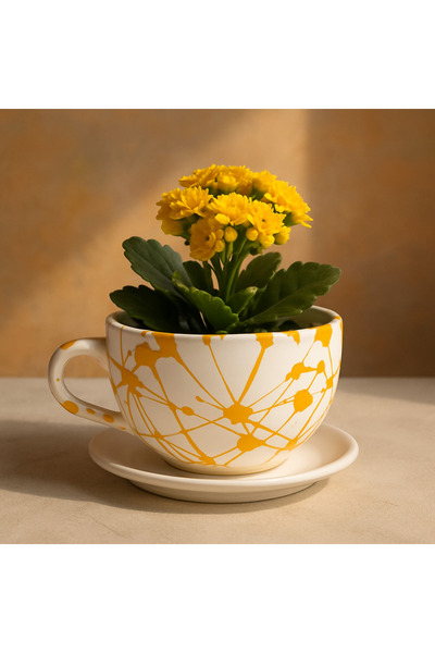 Momiko Sıçratma Boya Sanat Fincan Saksı - El Yapımı Dekoratif Beton