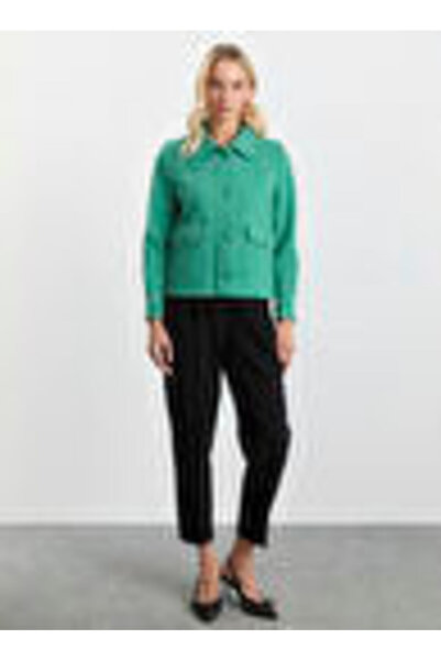 Selen Yeşil Kadın Standart Çizgili Ceket 25KSL1530