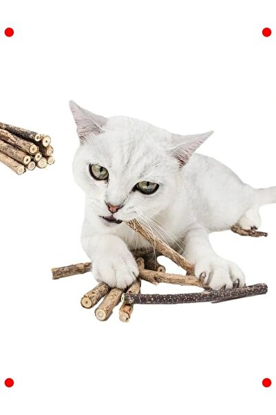 markentegra Natural Matatabi Cat Chewing Stick 5 Pieces