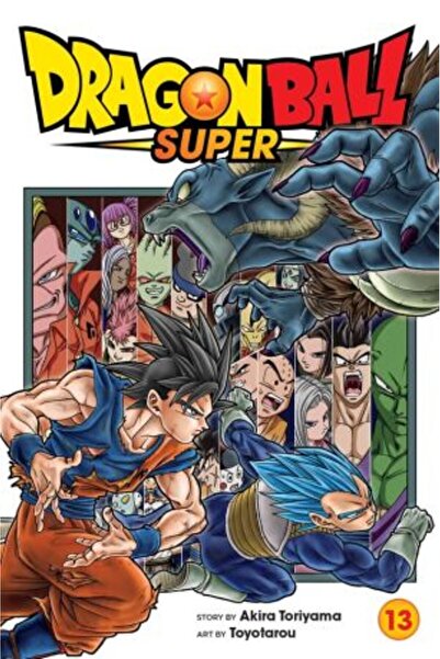 Viz Media Dragon Ball Super Vol. 13