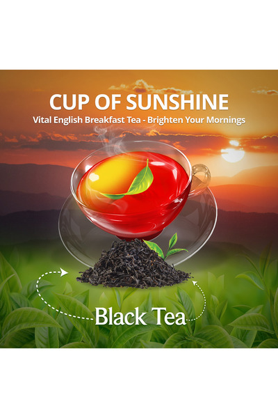 vital tea (عبوة من 6) أكياس شاي أسود إنجليزي للفطور - 25 كيس، فاخر، حلال، غير محلى
