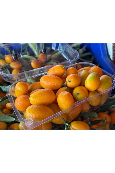 Granbusa Kamkat (Kumkuat) 500gr