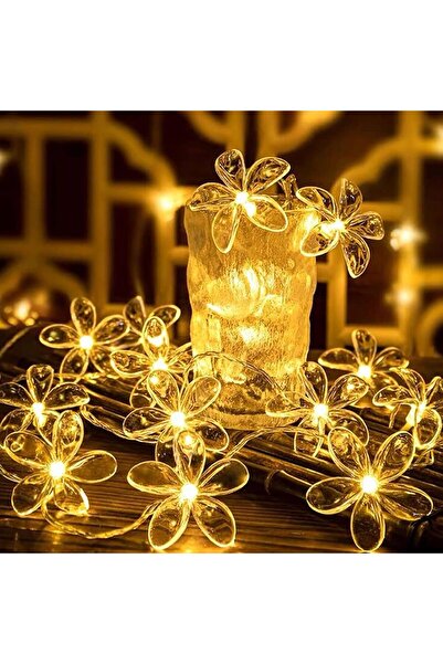 TERRIFI سلسلة أضواء LED خرافية، 9.84 قدم، 20 مصباح LED تعمل بالبطارية (زهر ال...