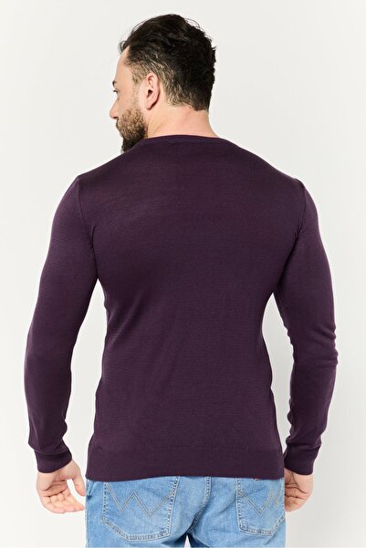 Trendyol Collection Men Crew Neck Plain Knit Sweater, Purple