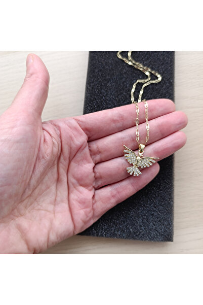 GlaMLo Accessories Gold Stainless Steel Chain Necklace with Wings Pendant