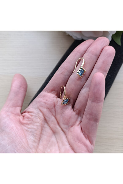 GlaMLo Accessories Gold Plated Stainless Steel Earrings – Blue Stone