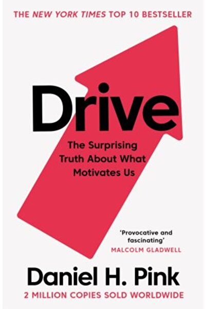 Canongate Books Drive: The Surprising Truth About What Motivates Us