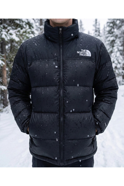 THE NORTH FACE Water and Cold Resistant Winter Coat Colorful