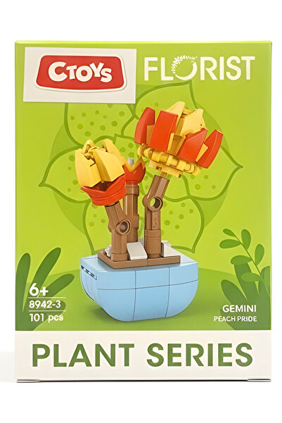CToys Florist Burçlar Saksılı Bitki Yapım Seti Gemini 8942 3