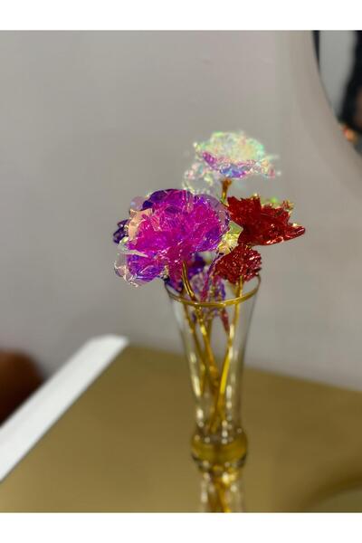 SUMMER GIFT Sonsuzluk Gülü Rengarenk Hologramlı Sevgiliye Hediye 24 Cm -1 ADET - Pembe - Mor - Kırmızı - Beyaz