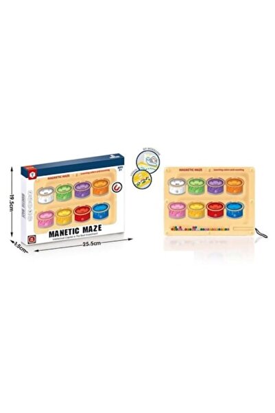 Toy Toy Toy Magnetic sorting game for children - 8-compartment ball sorter 20x2x26 cm