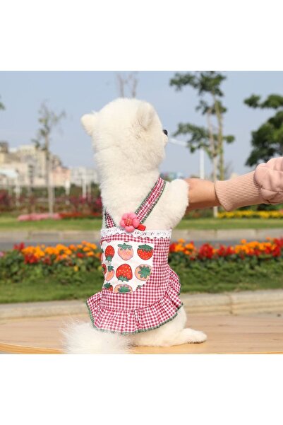 OEM Cute, comfortable summer jumpsuit for small and medium pets, 224A01
