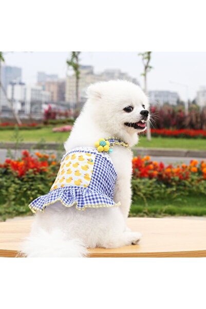 OEM Cute, comfortable summer jumpsuit for small and medium pets, 224A01