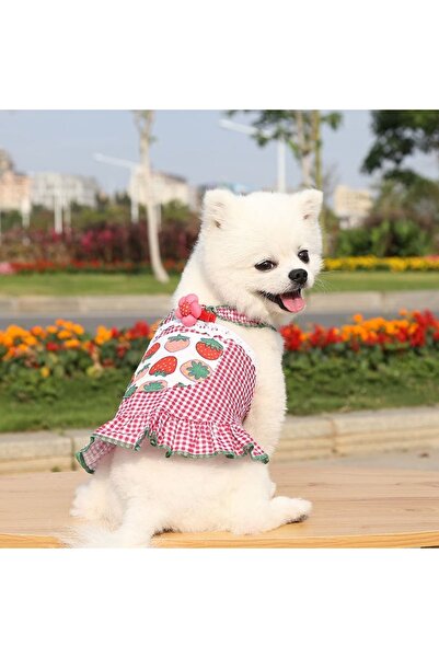 OEM Cute, comfortable summer jumpsuit for small and medium pets, 224A01