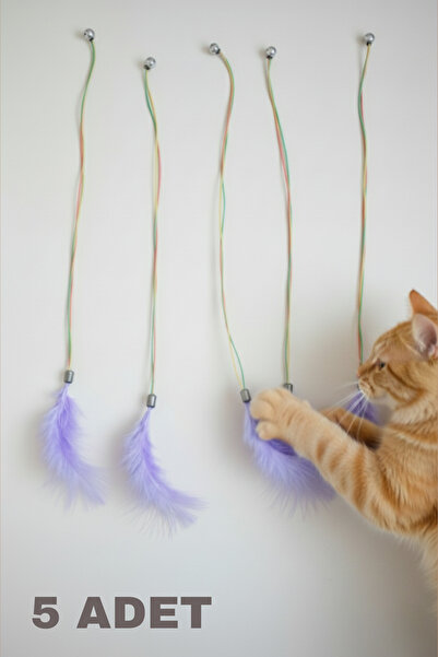 CatraWorks 5’li Tüylü Kedi Oyun Seti – Duvara Sabitlenebilir Kedi Oyuncağı