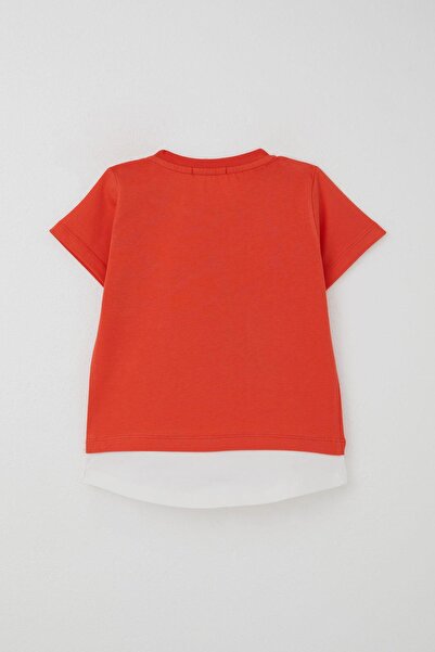 Breeze Baby Boy Shorts Set Cute Captain Teddy Bear with Printed Pocket Details 9 Months-3 Years, Pomegranate Flower