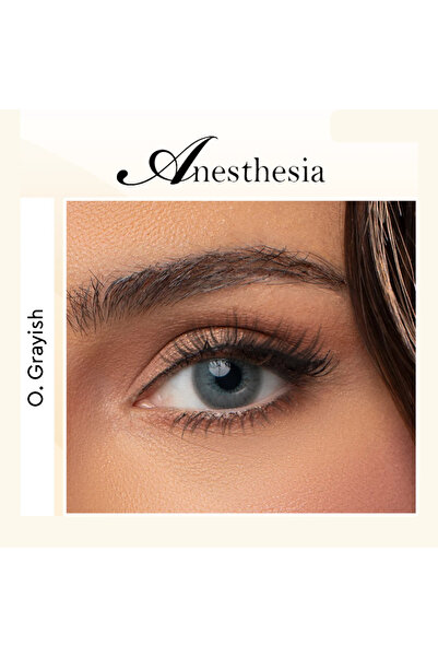 Anastasia Daily Contact Lenses Ones Gray