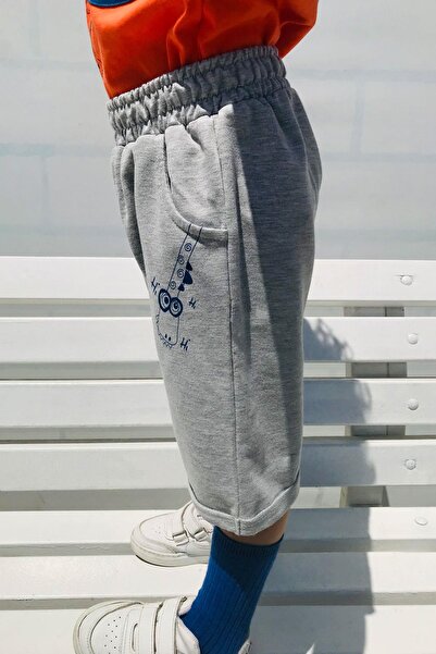 Breeze Boy's Shorts Set Skateboarder Dinosaur Printed Pocket Part Cover Detailed 2-6 Years Old, Tile