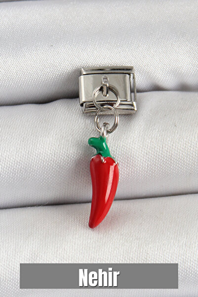 Nehir 316L Steel Silver Color Capybara Pepper Model Nomination Charm Valentin...