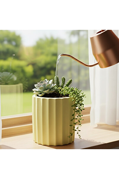 Fiyera Home Beton Sarı Saksılık Mumluk Diş Fırçalık Dekoratif Ve İşlevsel