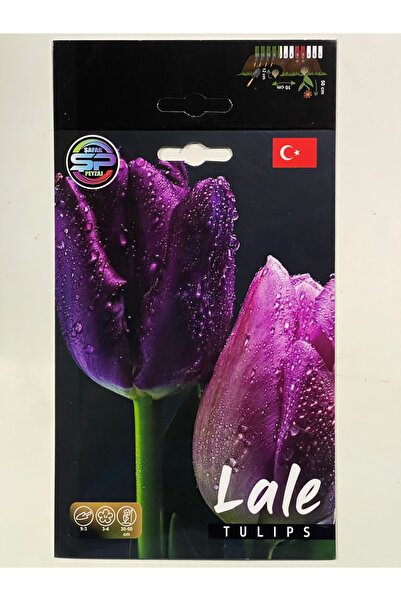 ŞAFAK PEYZAJ TOHUMCULUK Lale Çiçeği Soğanı Hollanda İthal Lale 10 Adet