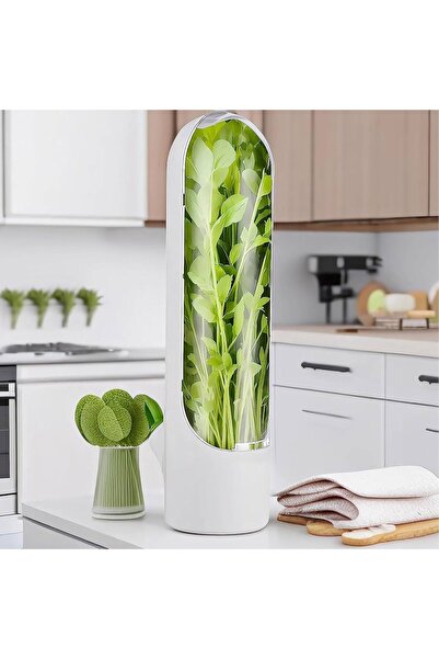 Generic A fresh herb container designed to prolong the life of fresh herbs.