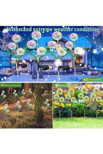 Generic 1 Set Of 2 Solar Dandelion Decorative Lights, Adjustable Lighting Type, Colorful Lighting, Can Decor