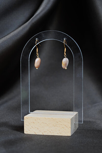 Luna Steel Earrings with Sun Stone