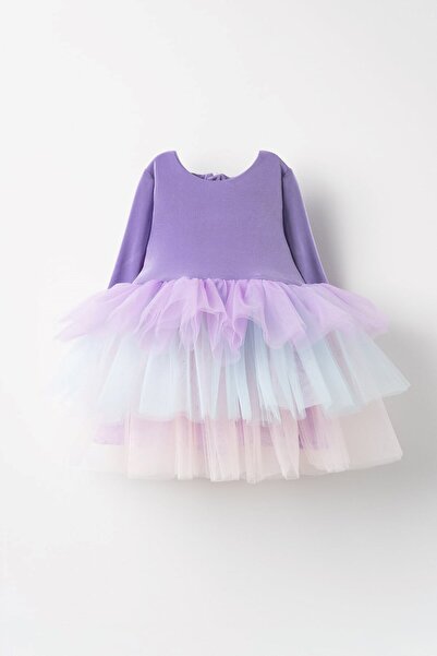 Banamio Βιολετί Φόρεμα Μπαλαρίνας Φόρεμα Τούτουλα με τούλι