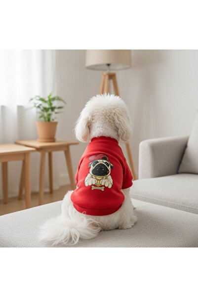 OEM Stylish, cute, comfortable blouse for small and medium pets, MDL-11C