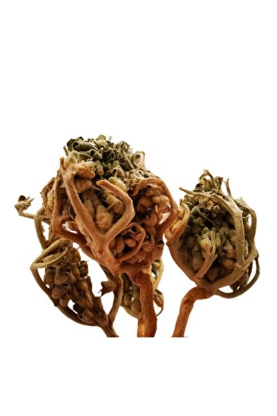 Nature Spirit Spirit of Nature - Mary's Hand 100g