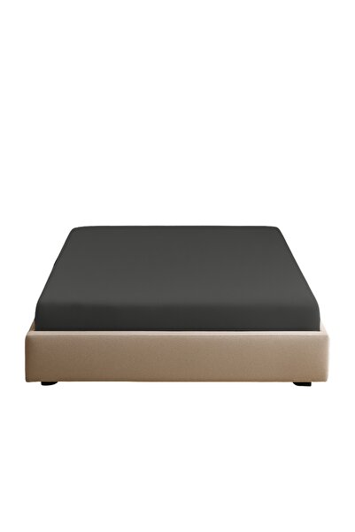 Sabia 100% Cotton 62 Thread Count 100X200 cm +37 cm Height Suitable Single Size Fitted Sheet