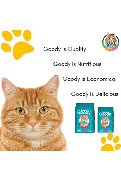Goody KITTEN FOOD - Premium Kitten Dry Food, Beef Flavor, Balanced Nutrition, Energy and Taste - 500