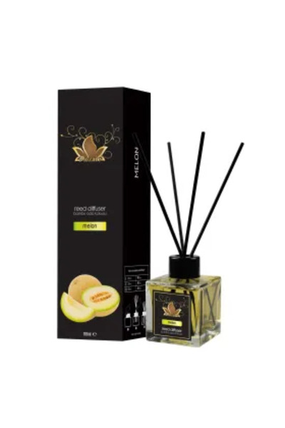 MOZAİC Room air freshener with sticks 100 ml, Cantaloupe