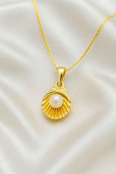 A-STİL TAKI Women's Gift Box Pearl Oyster Steel Necklace