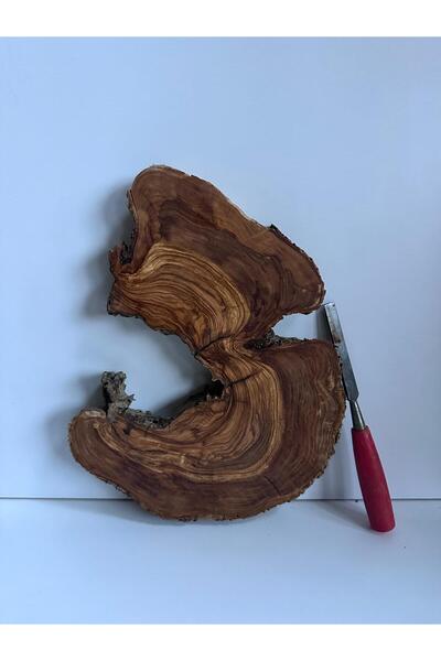 egeswood ZEYTİN AĞACI GÖVDE KERESTE