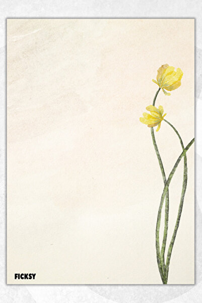 Ficksy دفتر ملاحظات A5 بدون خطوط - 50 ورقة - مذكرة - دفتر ملاحظات - ورق ملاحظات