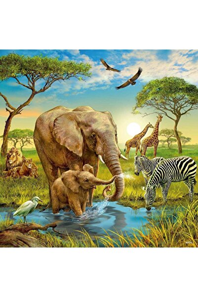 RAVENSBURGER Puzzle Animalele Pamantului, 3X49 Piease