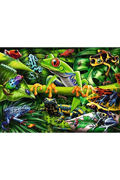 RAVENSBURGER Puzzle Broscute, 35 Piese