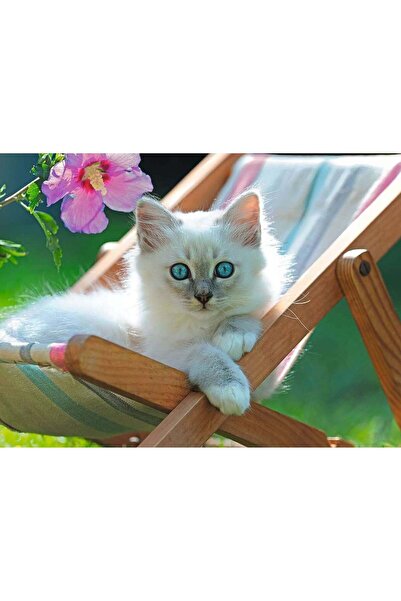 RAVENSBURGER Puzzle Pisicuta Alba, 200 Piese