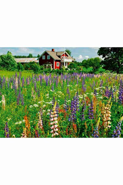 RAVENSBURGER - Farm in Sweden puzzle 500 pieces