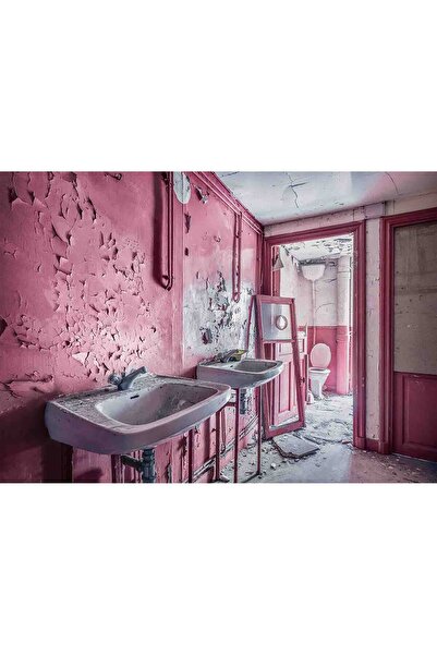 RAVENSBURGER Abandoned Pink Bathroom Puzzle, 1000 Pieces