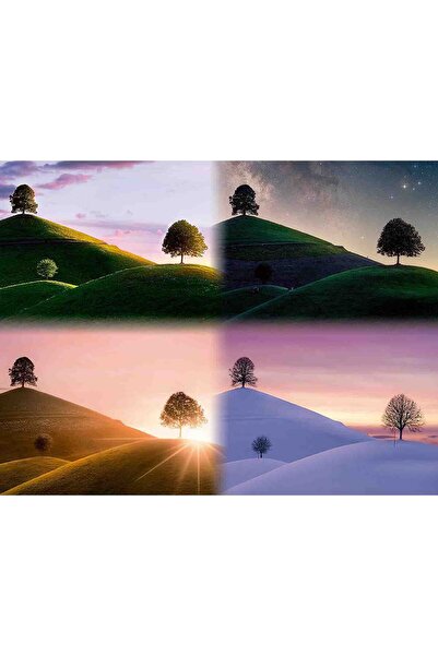 RAVENSBURGER Seasons Puzzle, 2000 Pieces