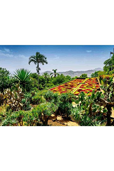 RAVENSBURGER - Madeira Botanical Garden Puzzle 1000 pieces