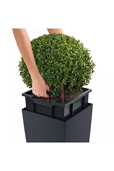 Lechuza Cubico Color 30 Self-Watering Planter, 14 L, Matte White